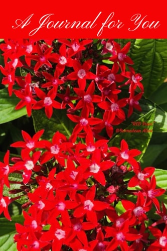 A Journal for You: RED Stars