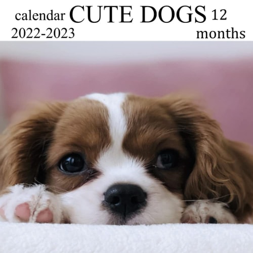 Cute Dogs Calendar 2022