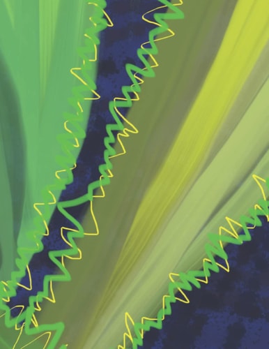 Plant Journal - Aloe Vera