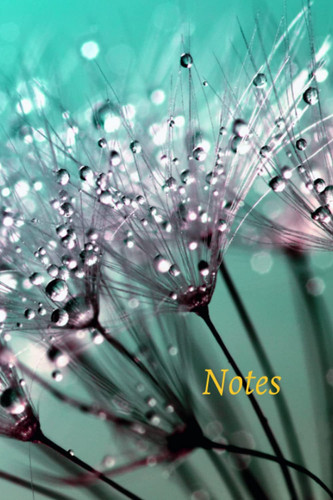 Notes: carnet de notes ligné A5 200 pages (French Edition)