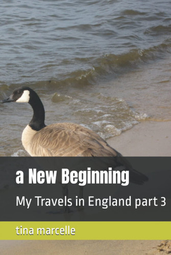 a New Beginning: My Travels in England part 3 (A New Beginning Part 1)