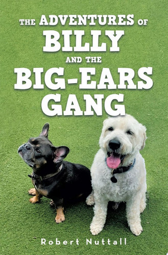The adventures of Billy and the Big-ears gang