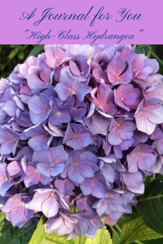 A Journal for You: "High-Class Hydrangea"