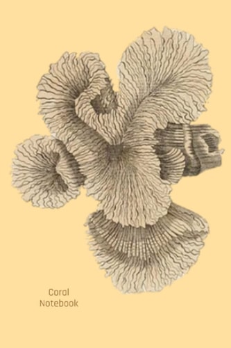 Coral Notebook: Coral Reef Notebook, College Ruled, Journal, Perfect For Students Men Women Scientists, 6x9 120 pages