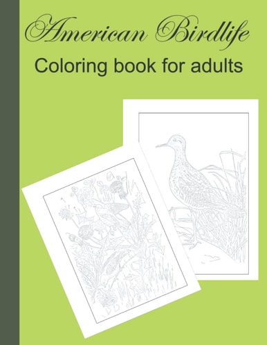 American Birdlife: Adult Coloring Book