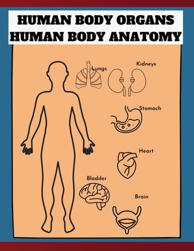 human anatomy coloring book for kids, an introduction to knowledge of the human body: knowing the organs of the human body basic guide