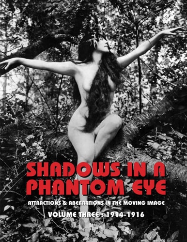 SHADOWS IN A PHANTOM EYE, Volume Three (1914-1916): Attractions & Aberrations In The Moving Image