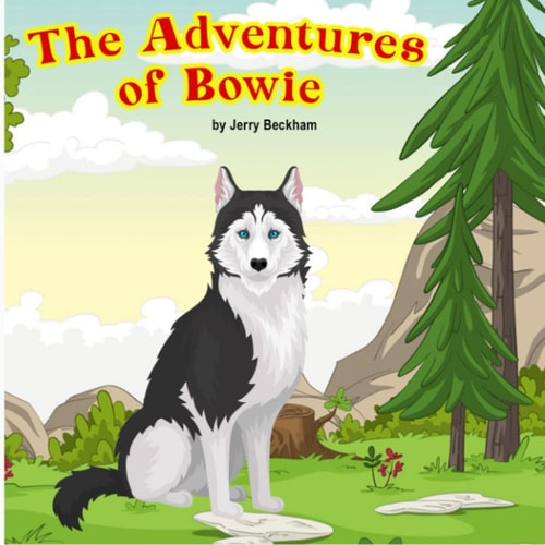 The Adventures of Bowie Vol 1