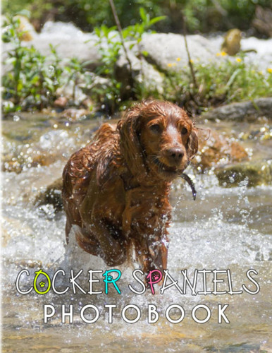 Cocker Spaniels Photobook: Smallest Member of The Sporting-Gog Family Poster for Teen to Decor as Gifts | High Quality Pictures and 40+ Pages to Relaxation