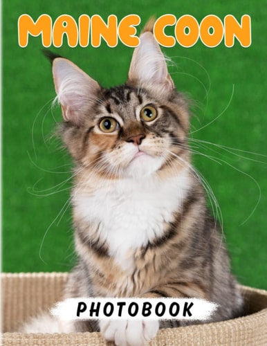 Maine Coon Kittens Photo Book: The Larges Domesticated Cats Picture Book for Decor | 40+ Pages High Quality Pictures for Relaxation with Stress Relief