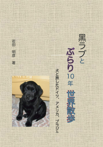 10:  (Japanese Edition)