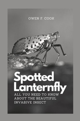 Spotted Lanternfly All You Need to Know about the Beautiful Invasive Insect.