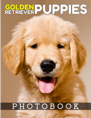 Golden Retriever Puppies Photo Book: Funny & Cutest Types of Dogs with 40+ Pages High Quality Pictures | Back to School Gifts or Any - Giving Occassion for Anyone