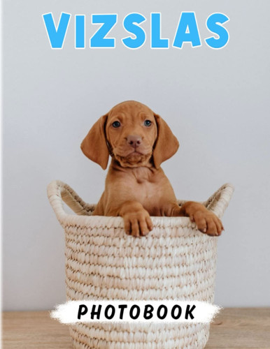 Vizslas Photo Book: Sporting Dogs and Loyal Companions Poster for Anyone to Love | With 40+Pages High Quality Pictures for Decor as Gifts Relaxation