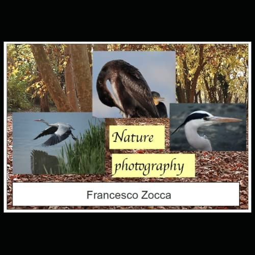 Fotografia naturalistica - Nature photography: Foto di aironi, garzette, cormorani, gabbiani ed altre specie - herons, egrets, cormorants, gulls and others species photos (Italian Edition)