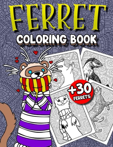 Ferret Coloring Book: More than 30 Patterns of Cute ferrets with Mandalas Background to Color for Stress Relief and Relaxing for Pet Owners and Lovers of Ferrets