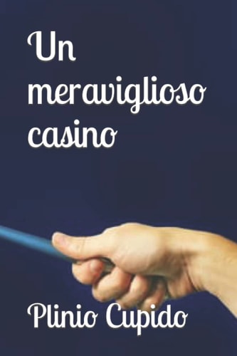 Un meraviglioso casino (Italian Edition)