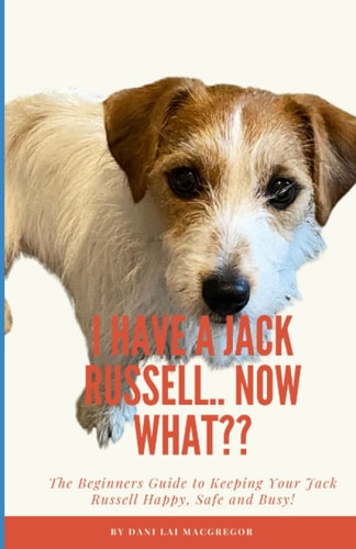 I HAVE A JACK RUSSELL.. NOW WHAT?: The Beginners Guide to Keeping Your Jack Russell Happy, Safe and Busy!