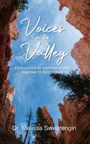 VOICES IN THE VALLEY A Collection of Inspiring Stories Pointing to God's Grace