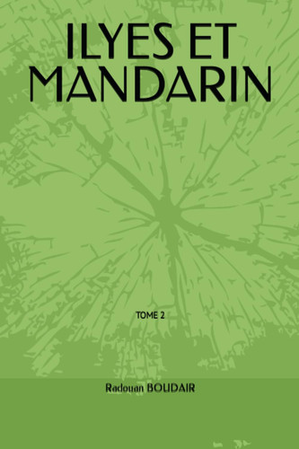 ILYES ET MANDARIN: TOME 2 : LE MONDE PARALLELE (French Edition)