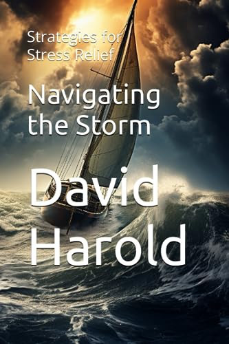 Navigating the Storm Strategies for Stress Relief