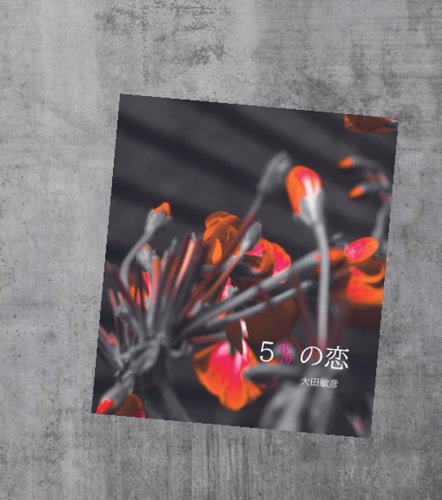 % (Japanese Edition)
