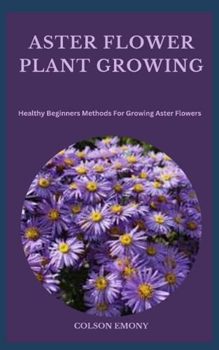 Aster Flower Plant Growing Healthy Beginners Methods For Growing Aster Flowers
