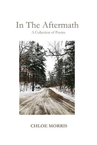 In The Aftermath: A Collection of Poems