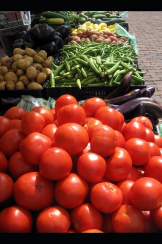 The Nutrient Patch: Health-Boosting Vegetable Gardening Made Easy