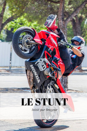Le Stunt: S'initié avec Brayeur (French Edition)