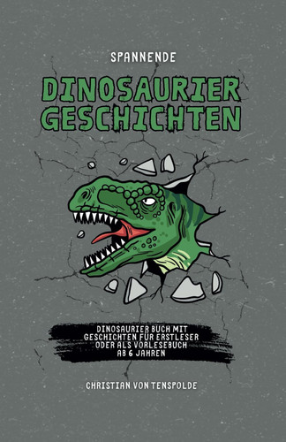 Spannende Dinosauriergeschichten Dinosaurier Buch mit Geschichten für Erstleser oder als Vorlesebuch ab 6 Jahren