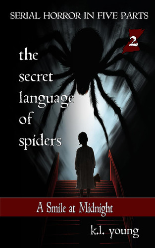 A Smile at Midnight: Book 2 of The Secret Language of Spiders