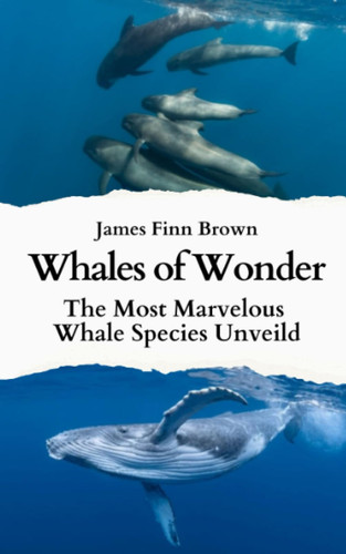 Whales of Wonder The Most Marvelous Whale Species Unveiled
