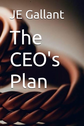 The CEO's Plan