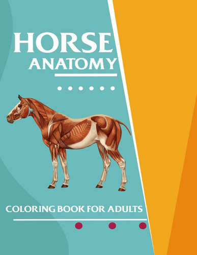 Horse Anatomy Coloring Book For Adults: This Workbook Allows Equestrian And Veterinary Students To Self-Evaluate Their Knowledge Of The Equine's Skeleton