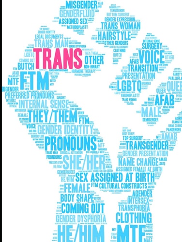 Transcending Colors: Embracing Identity Coloring Book: A Journey of Self-Love and Affirmation through Creative Expression for the Transgender Community