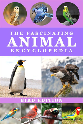 The Fascinating Animal Encyclopedia: Everything Wild Facts For Smart and Curious Kids | Birds Edition