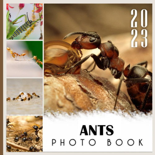 Ants Photo Book: Animals Collection Photo Picture Book With Impressive Pictures For Kids And Adults To Relieve Stress And Relaxation Great Picture Book Gifts Idea For Birthday, Christmas