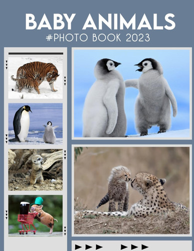 Baby Animals Photography Book: Animals Collection Photo Picture Book With Impressive Pictures For Kids And Adults To Relieve Stress And Relaxation Photobook To Relieve Stress And Get Creative