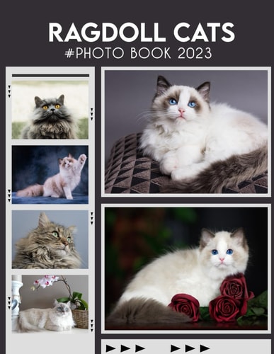 Ragdoll Cats Photography Book: Gorgeous Images For Relax And Unwind Fantastic Photobook For All Ages With 30+ High Quality Images Gifts For Fans Of All Ages To Decor And Unwind