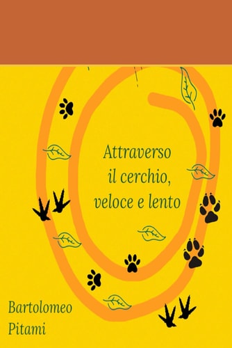 Attraverso il cerchio, veloce e lento (Italian Edition)
