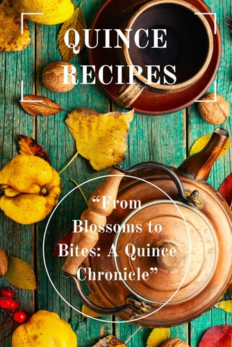 Quince Recipes: “From Blossoms to Bites: A Quince Chronicle” (International Cookbooks) (Italian Edition)