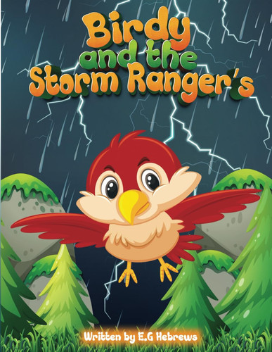 BIRDY AND THE STORM RANGER'S Birdy the Bird