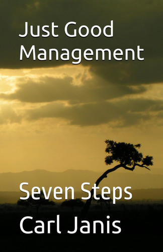 Just Good Management: Seven Steps
