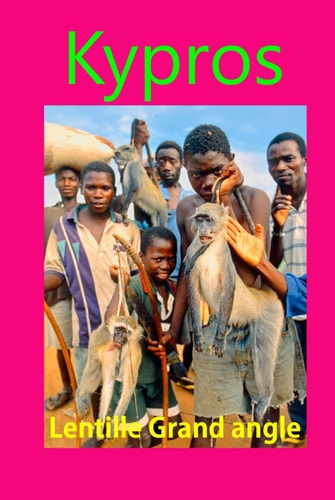 Lentille Grand angle: Photos avec objectif grand angle prises avec des objectifs grand angle - Pas de texte (French Edition)