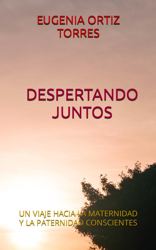 DESPERTANDO JUNTOS: UN VIAJE HACIA LA MATERNIDAD Y LA PATERNIDAD CONSCIENTES (Spanish Edition)