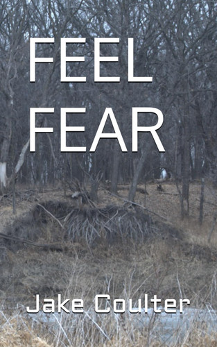 FEEL FEAR