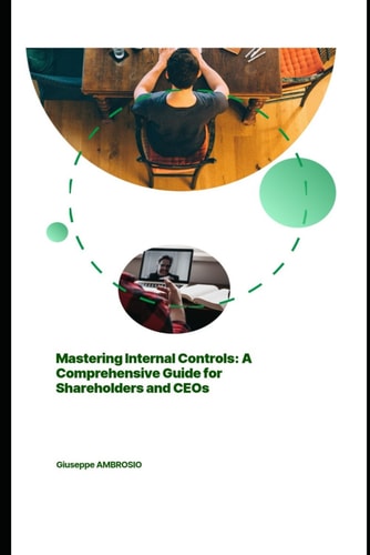 Mastering Internal Controls: A Comprehensive Guide for Shareholders and CEOs (Professional tools for the accountant)