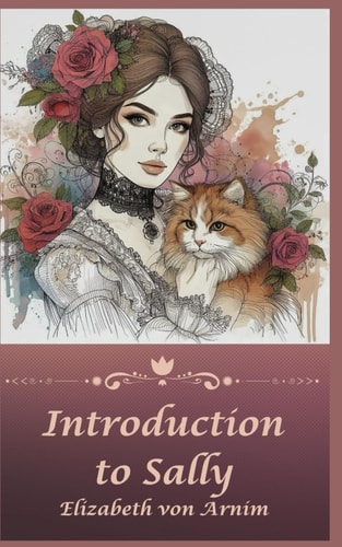 Introduction to Sally: 1926 Historical Romance