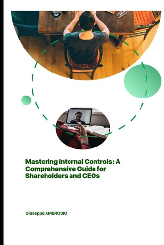 Mastering Internal Controls: A Comprehensive Guide for Shareholders and CEOs (Professional tools for the accountant)